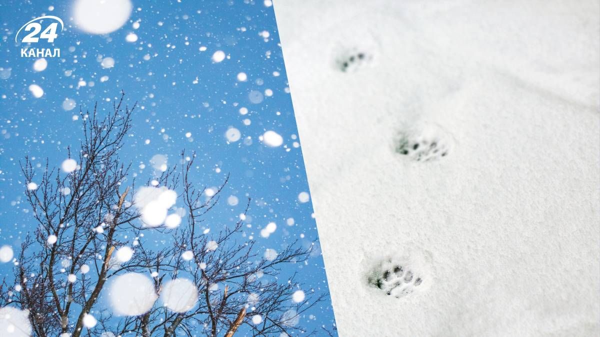 Снег в Украине не задержится надолго - 24 Канал Снег в Украине не задержится надолго - 24 Канал
