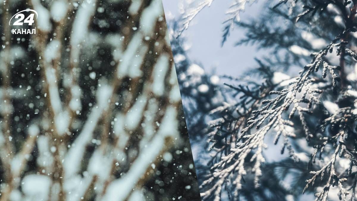 Сильного снега в Украине не ожидается - 24 Канал