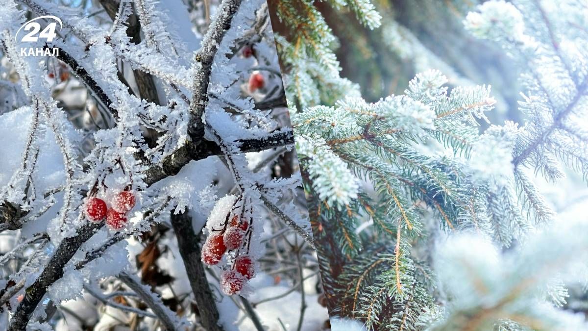 Коли вдарять морози в Україні та де похолодання буде найбільш відчутним