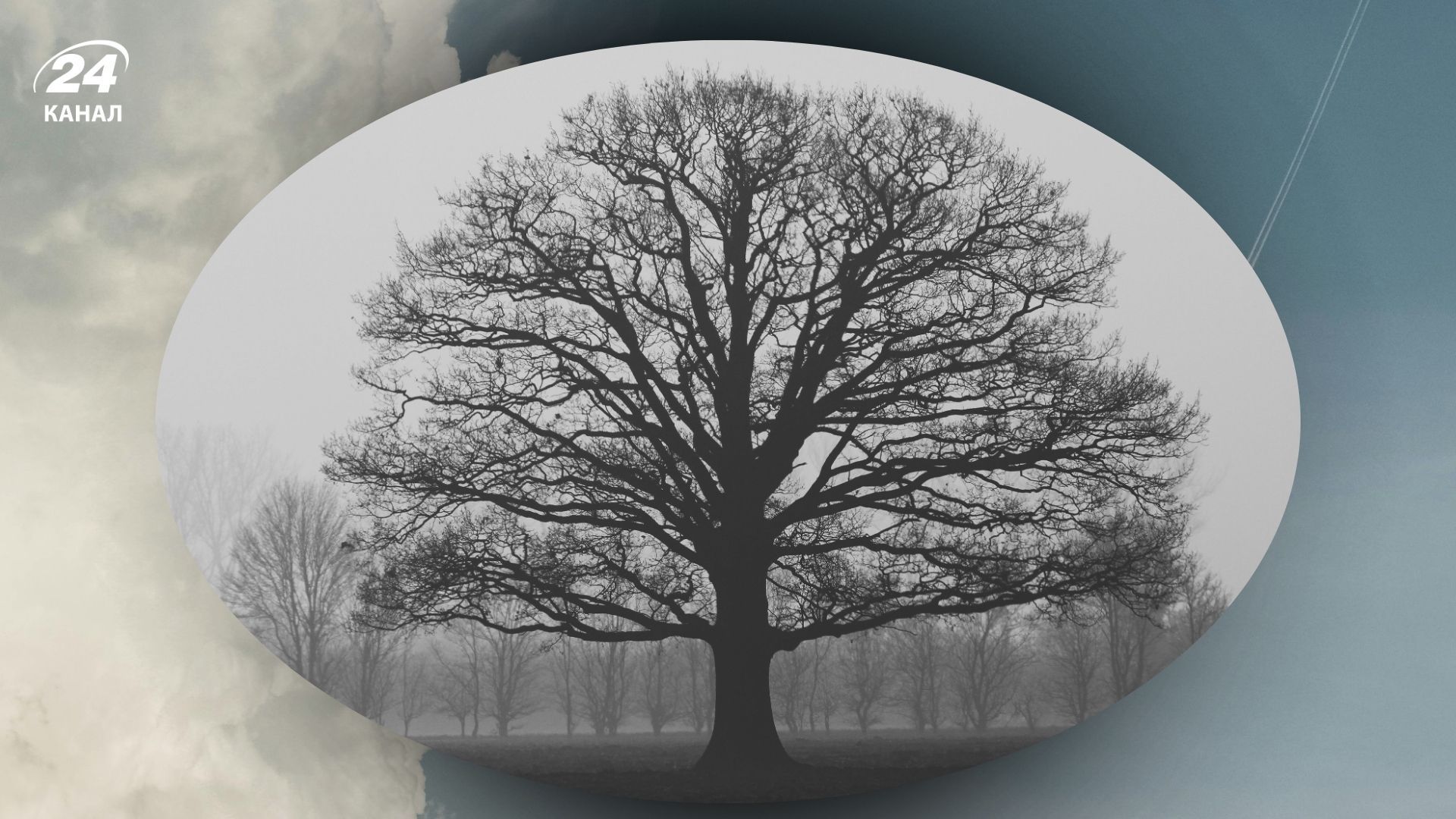 На вихідних в Україні очікується сильний вітер і туман