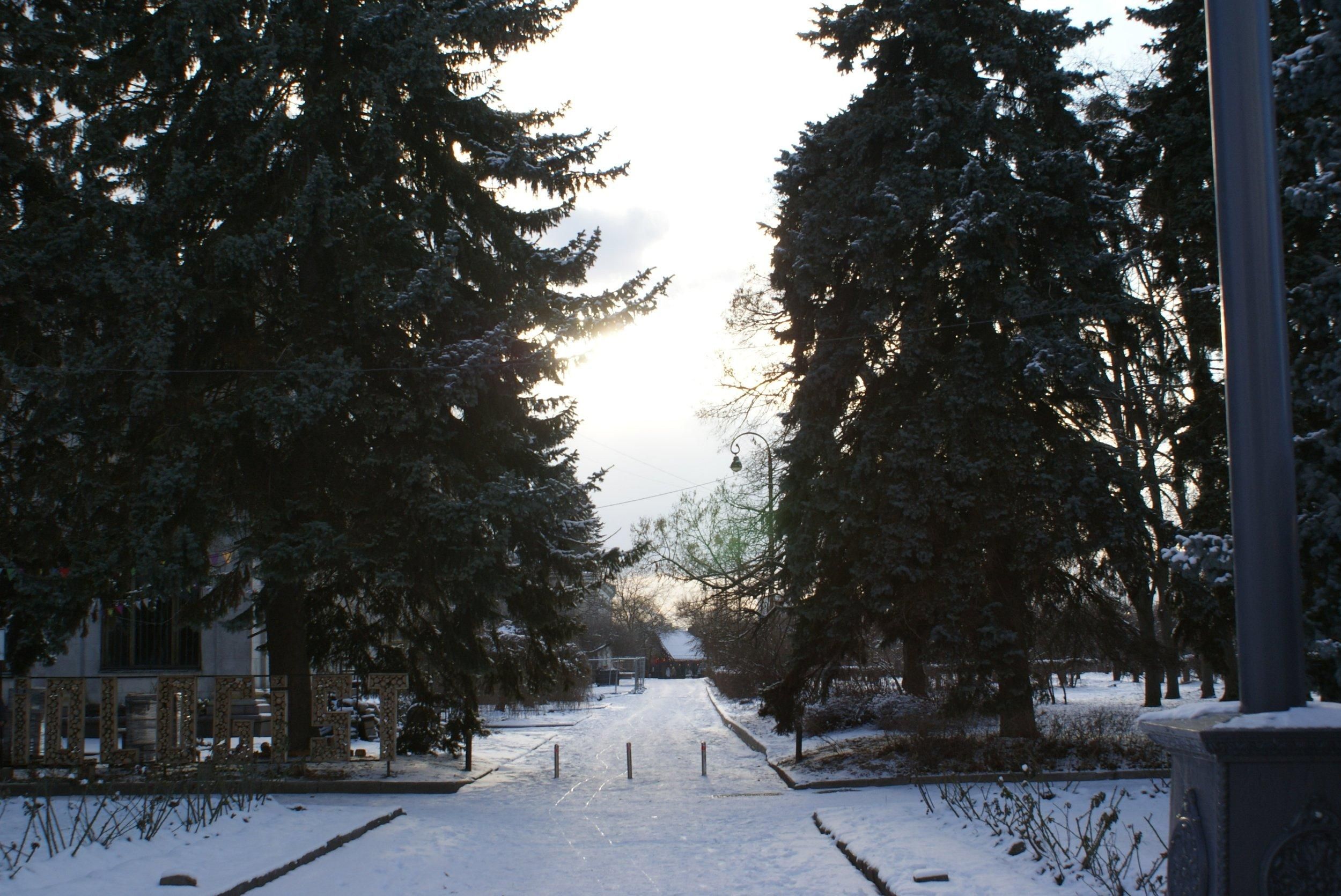 На выходных ожидается снег и похолодание На выходных ожидается снег и похолодание