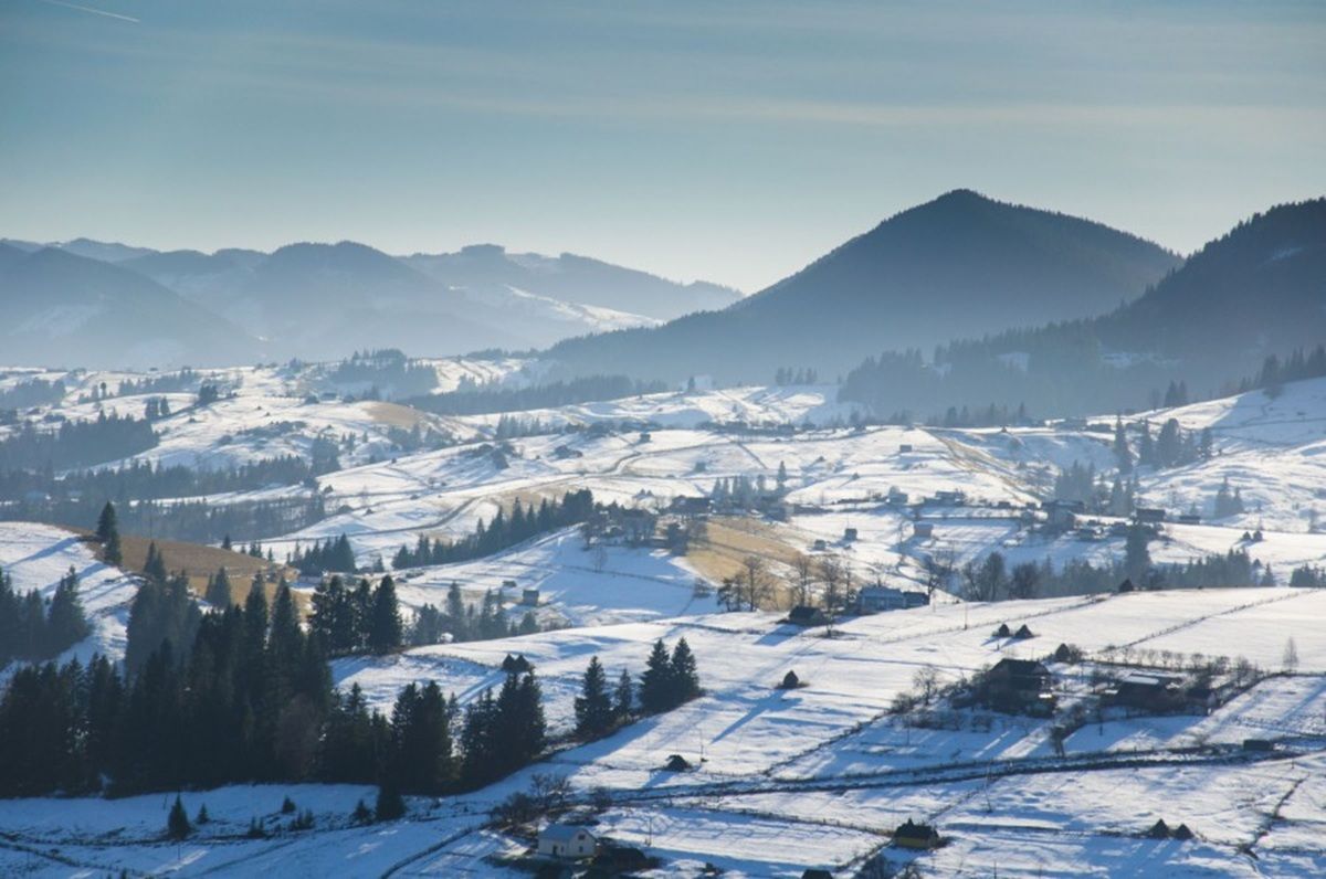 Які ціни на оренду житла в Карпатах Які ціни на оренду житла в Карпатах