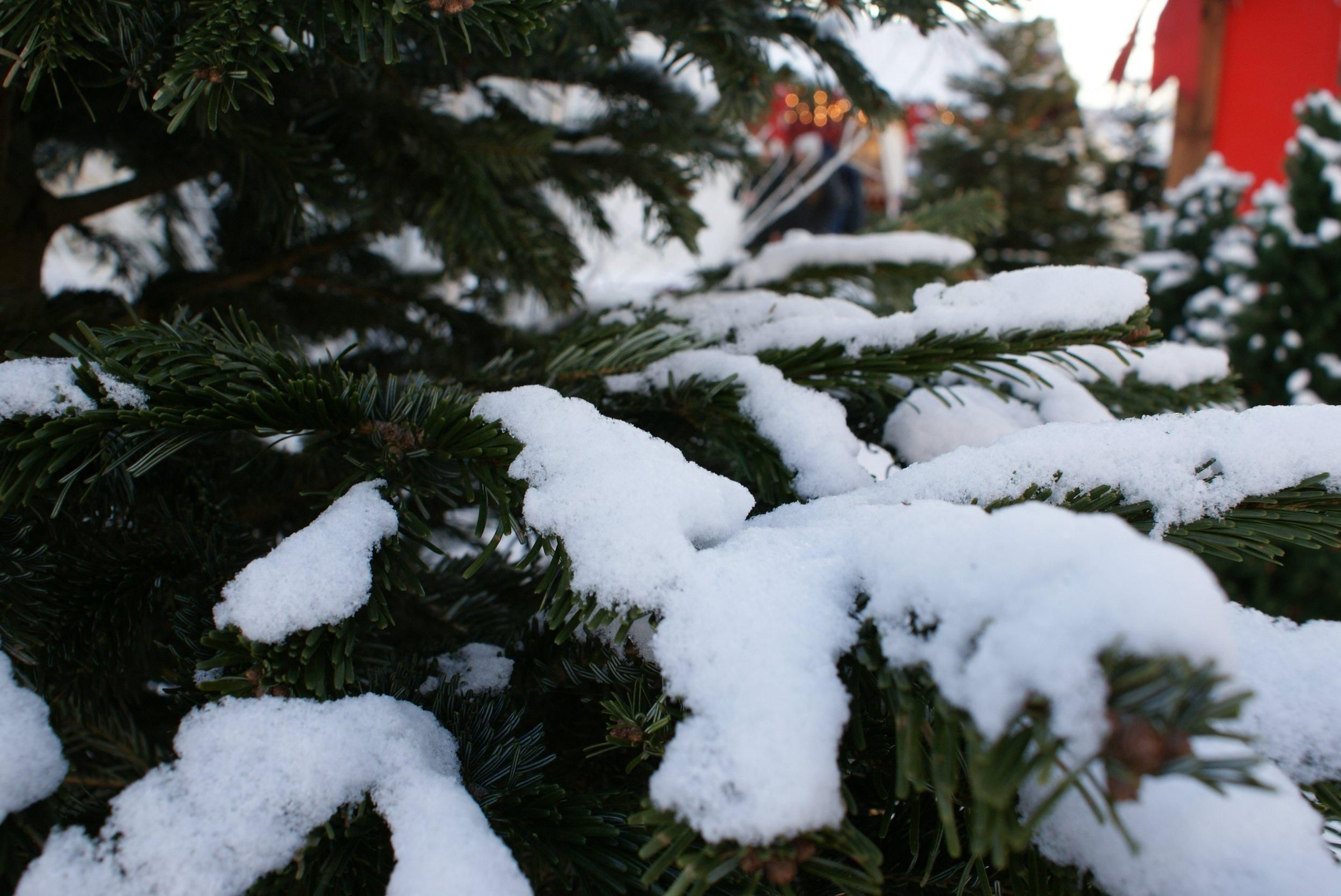 Погода в Україні Погода в Україні