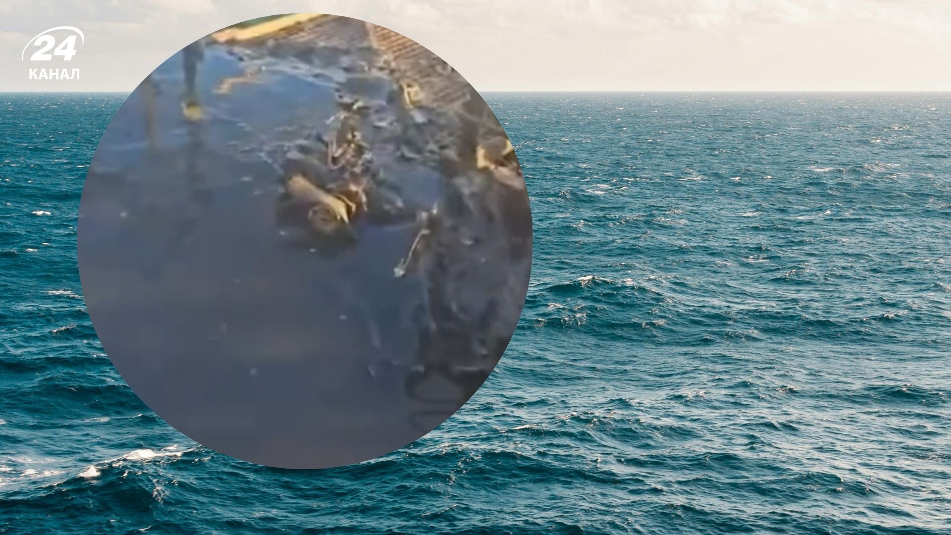 Россия обстреляла гражданское турецкое судно в экономической морской зоне Украины