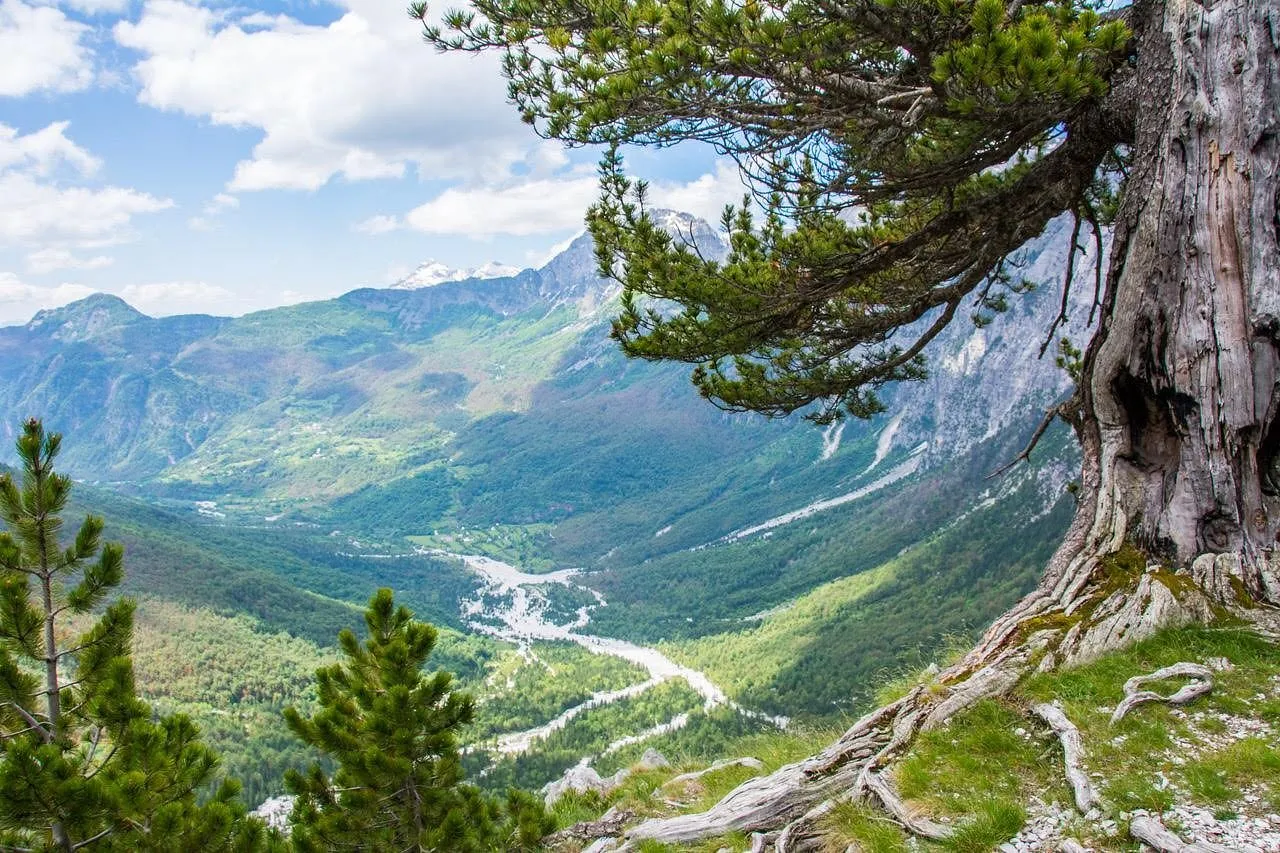 Краєвиди під час прогулянки національним парком / фото TripAdvisor Краєвиди під час прогулянки національним парком / фото TripAdvisor
