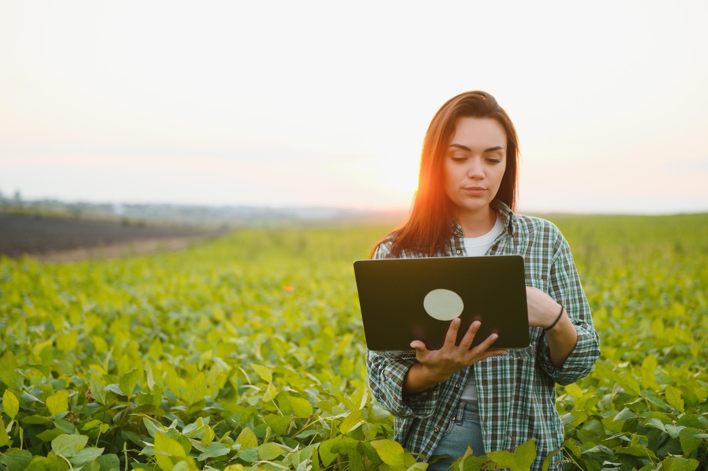 Удобрения являются основой хорошего урожая Удобрения являются основой хорошего урожая