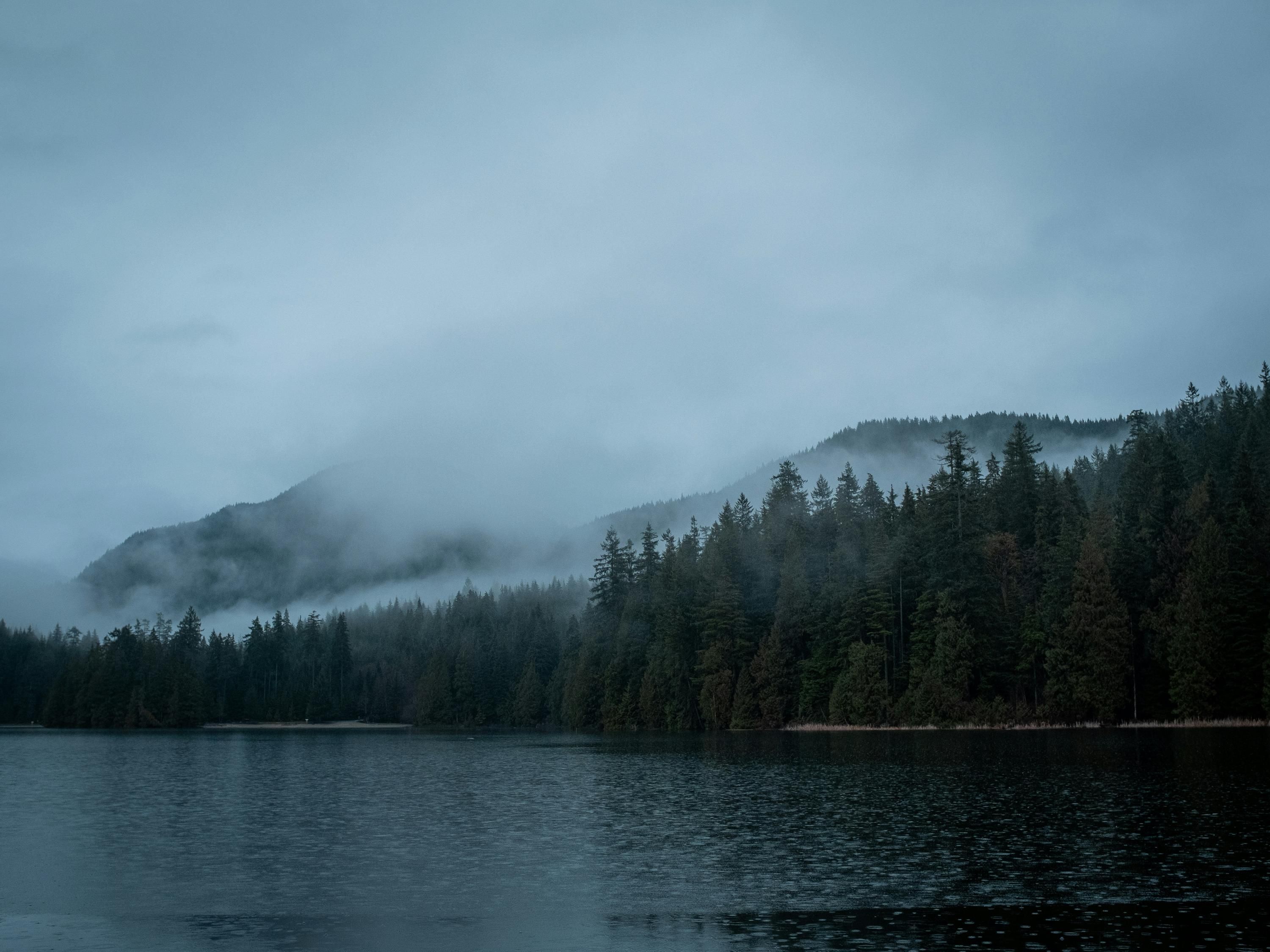 В Україні прогнозують тумани В Україні прогнозують тумани