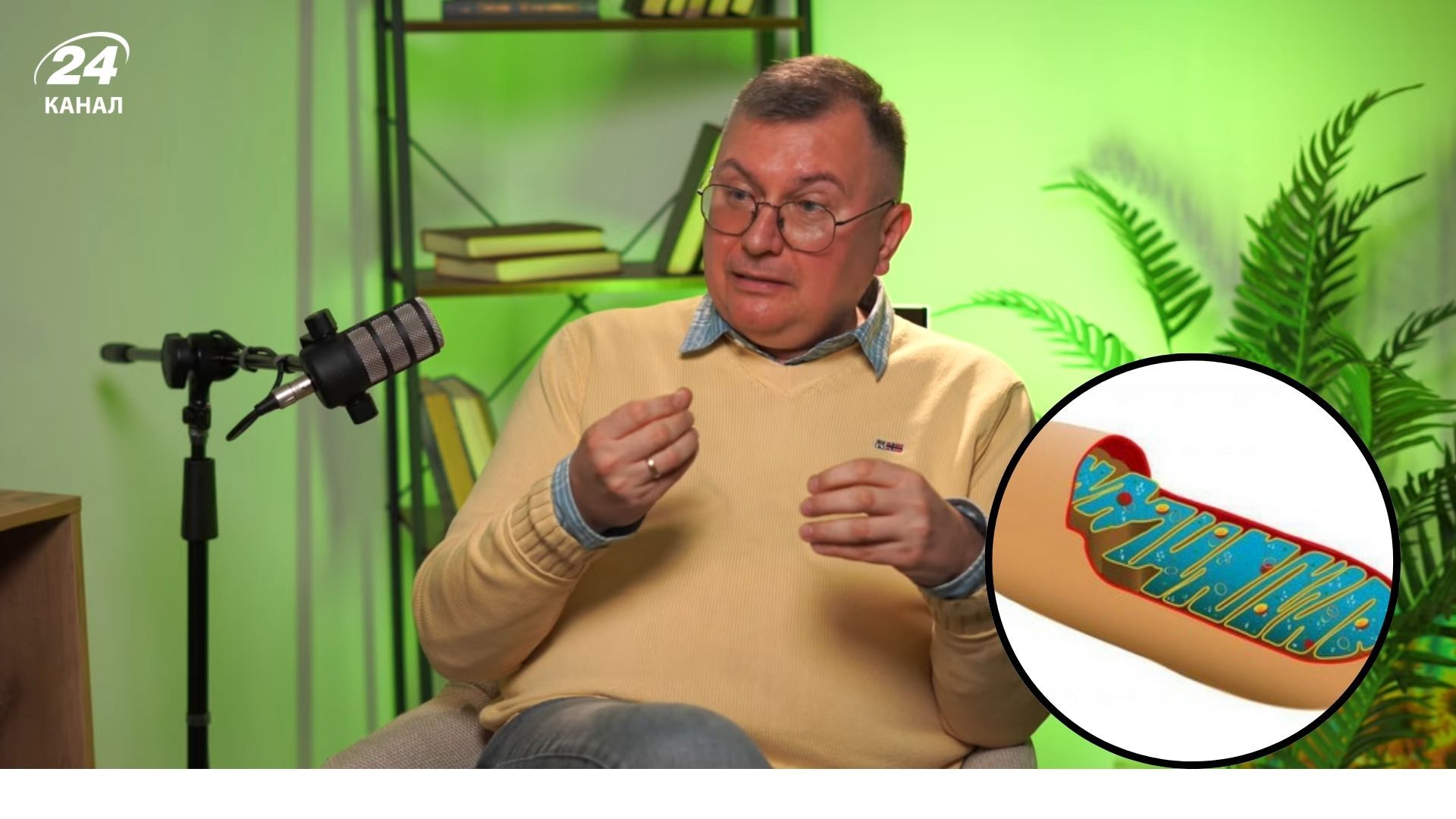 Український вчитель розповів, що не так з уроками біології Український вчитель розповів, що не так з уроками біології