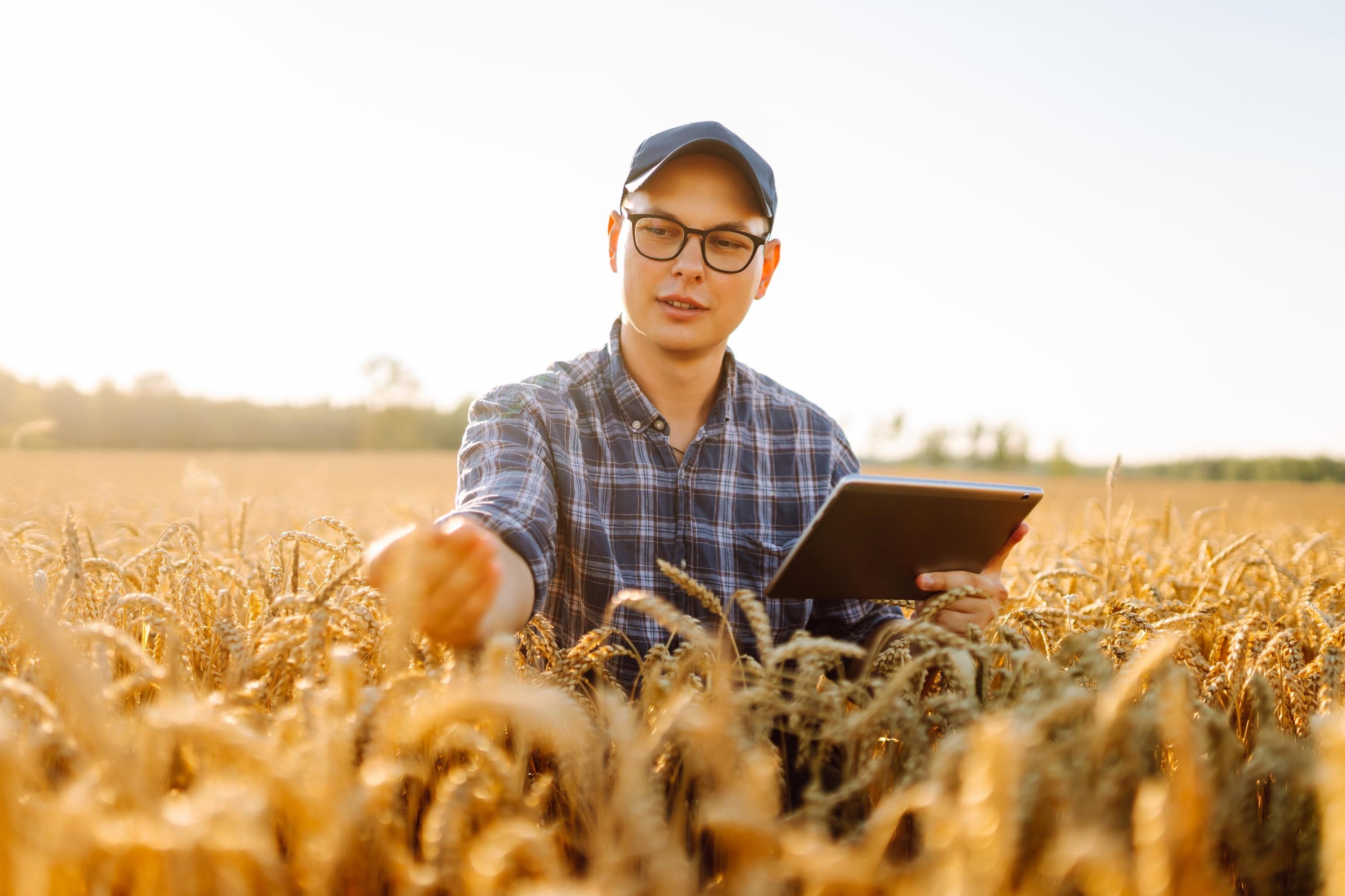 Своевременное решение юридических вопросов является очень важным Своевременное решение юридических вопросов является очень важным