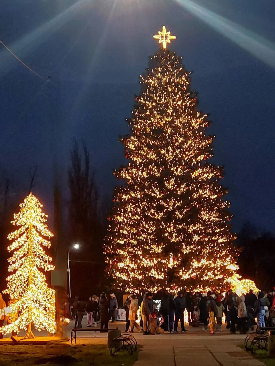 Главная елка Кривого Рога / фото Анастасии Козариз Главная елка Кривого Рога / фото Анастасии Козариз