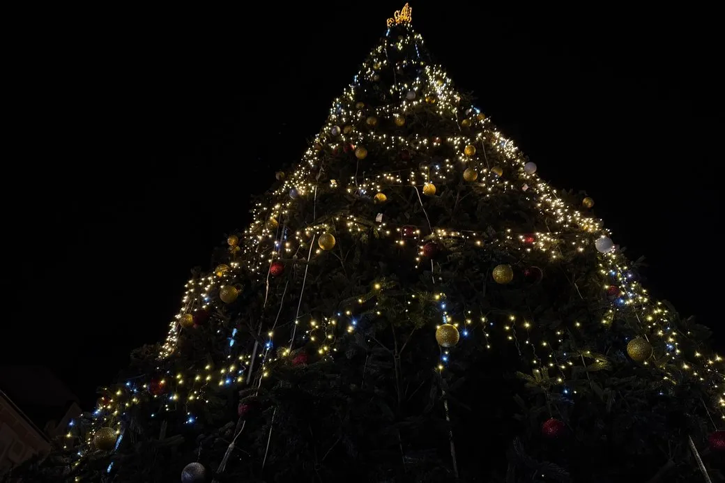 Главная елка Ужгорода / фото Суспільного Главная елка Ужгорода / фото Суспільного