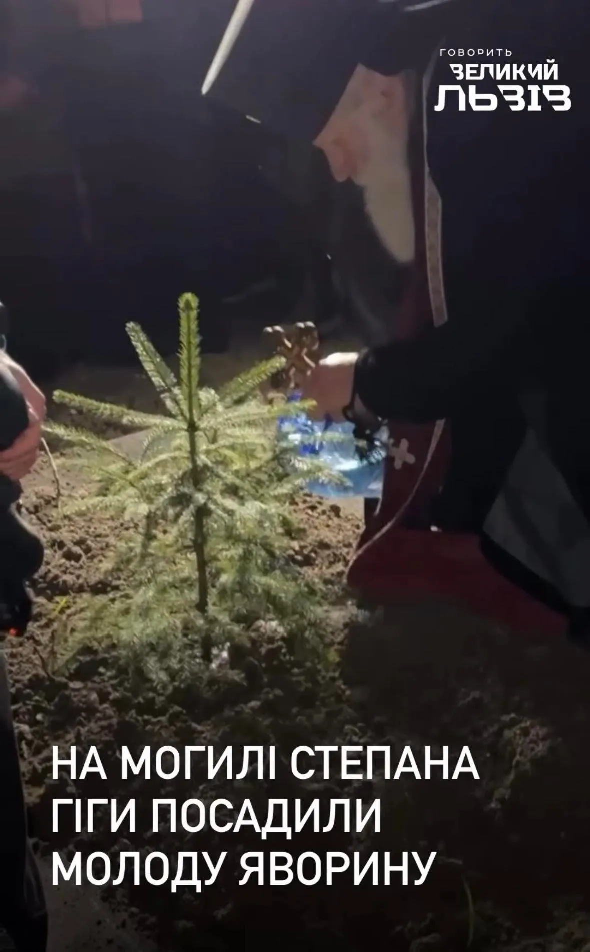 На могилі Степана Гіги посадили ялинку