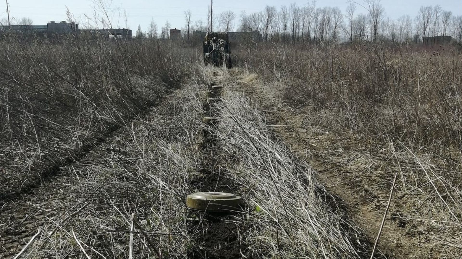 Польща мінуватиме свій східний фланг Польща мінуватиме свій східний фланг