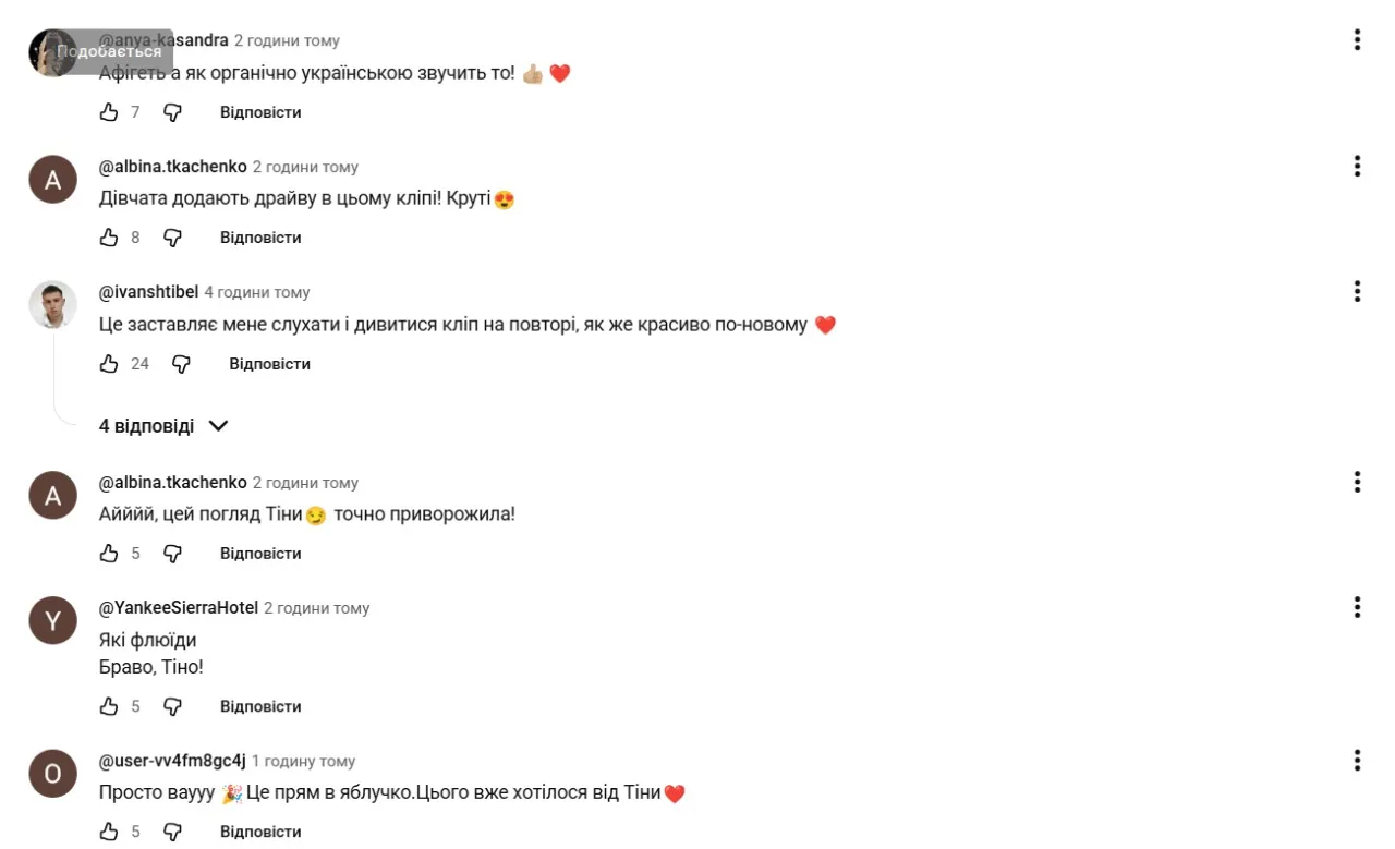 Комментарии под клипом Шиншилла Комментарии под клипом Шиншилла