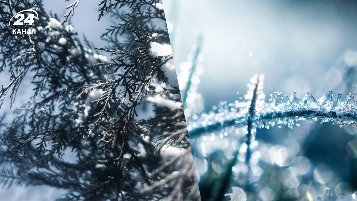 Прогноз погоды в Украине - 24 Канал Прогноз погоды в Украине - 24 Канал