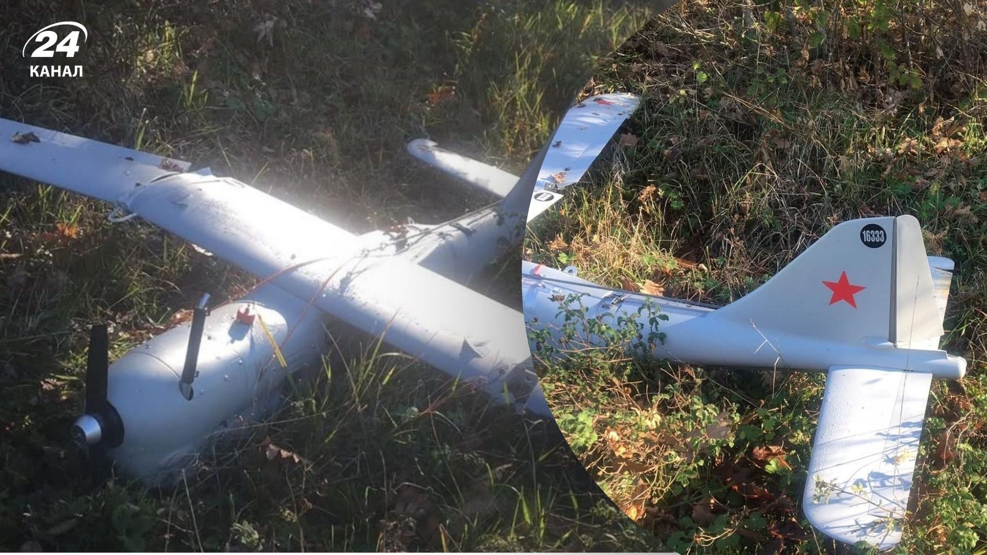 В Турции найден российский "Орлан": фото с места падения - 24 Канал