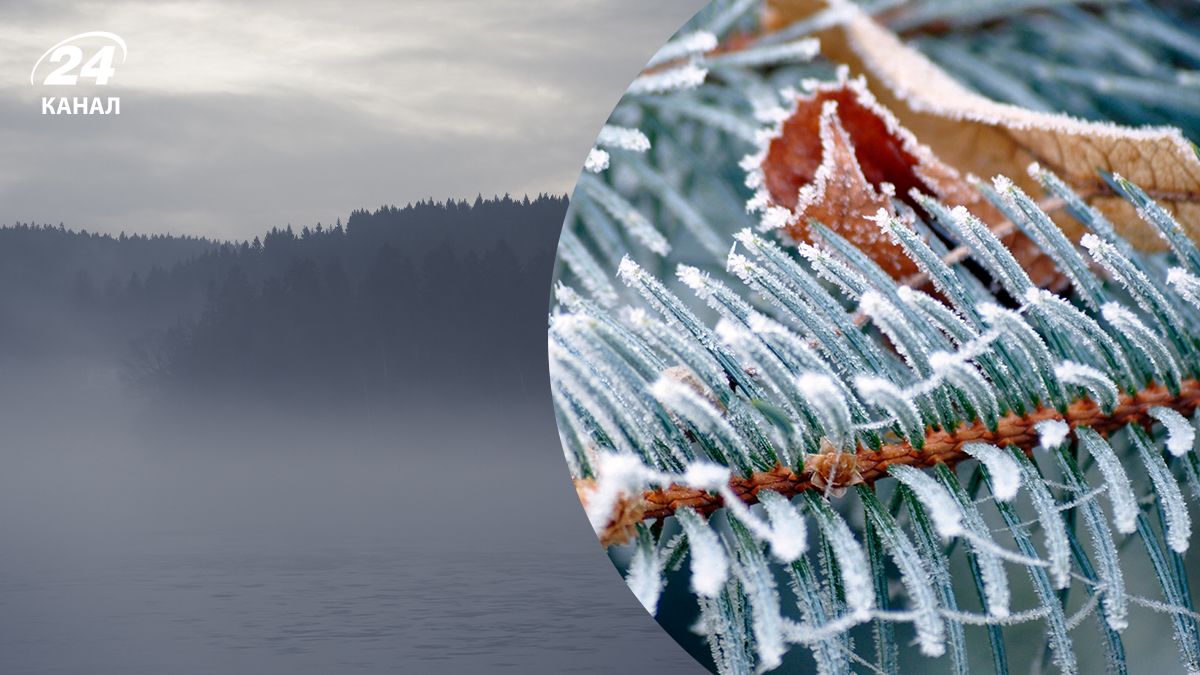 Погода в Украине 21 декабря Погода в Украине 21 декабря