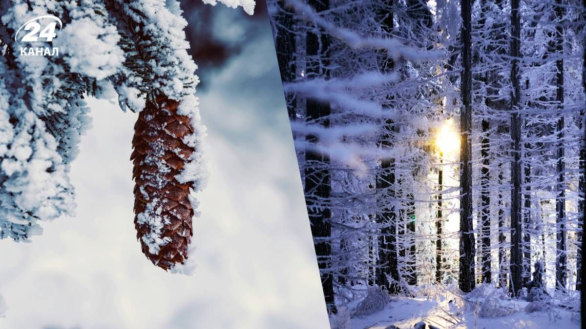 Похолодання та сильні морози вже близько: коли зміниться погода