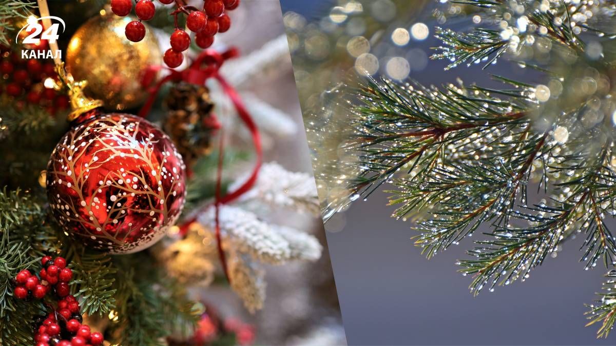 Морозы в Украине на Рождество - 24 Канал