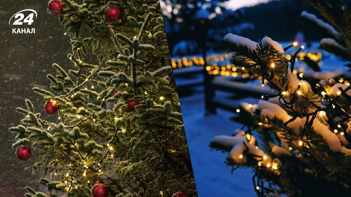Сильного снігу на Різдво не буде - 24 Канал
