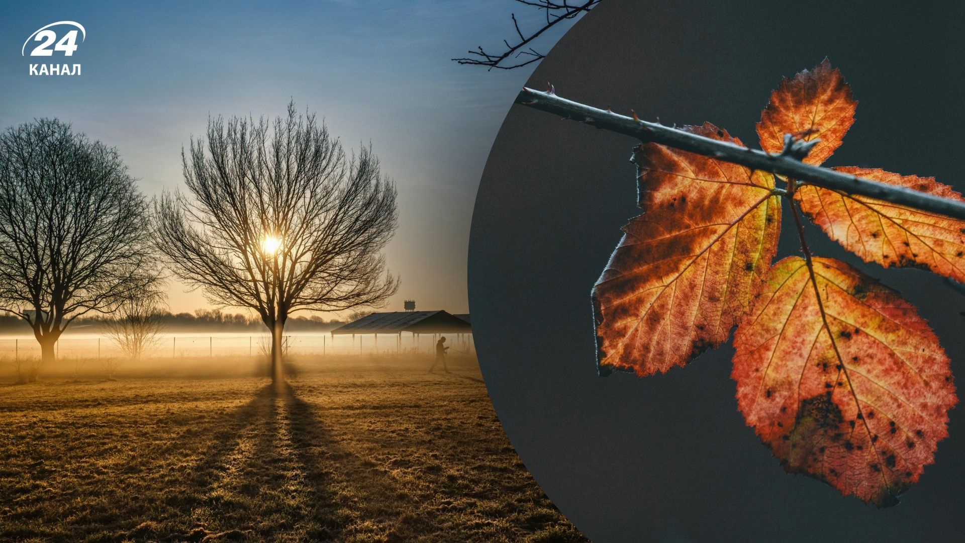 Тепло в последние дни 2025 года Тепло в последние дни 2025 года