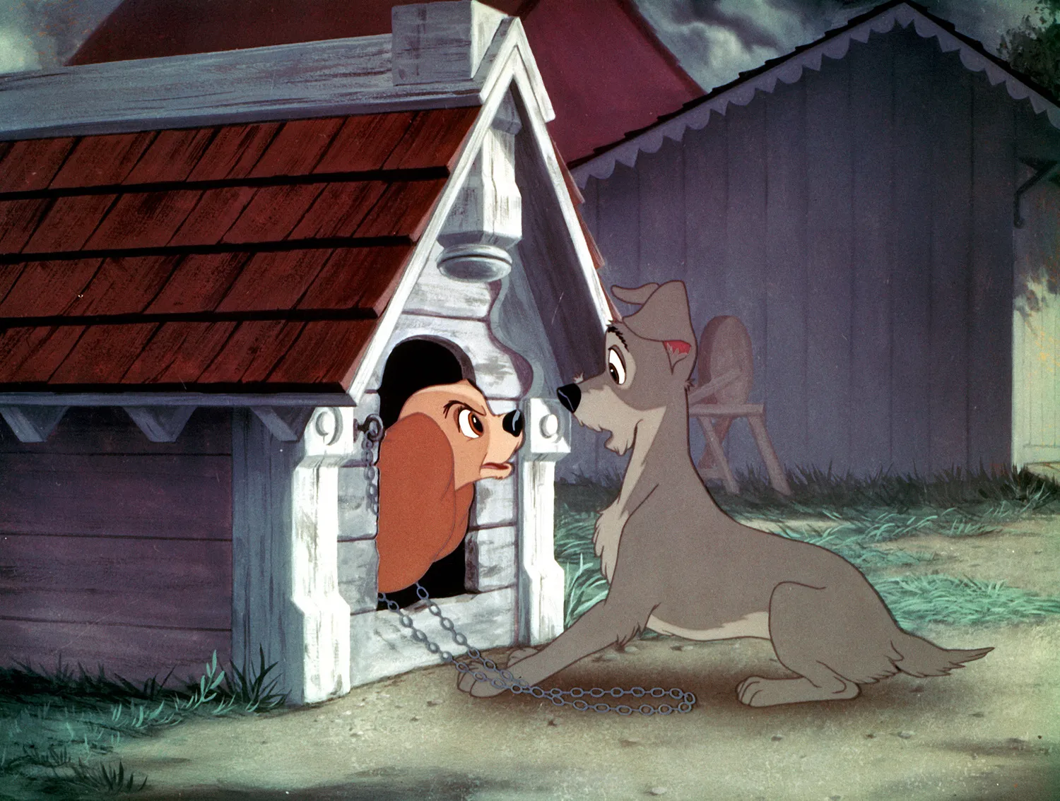 Леді та Волоцюга