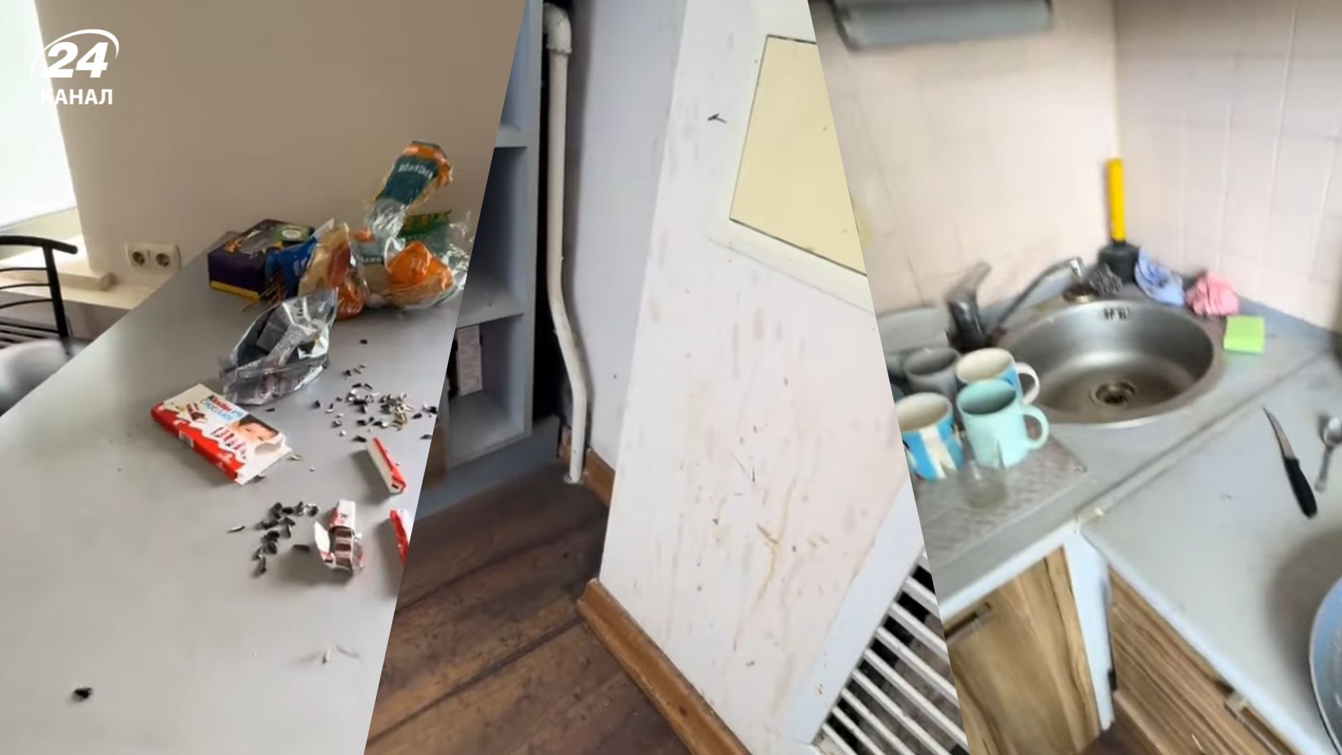 Зайшли після оренди й не впізнали житло