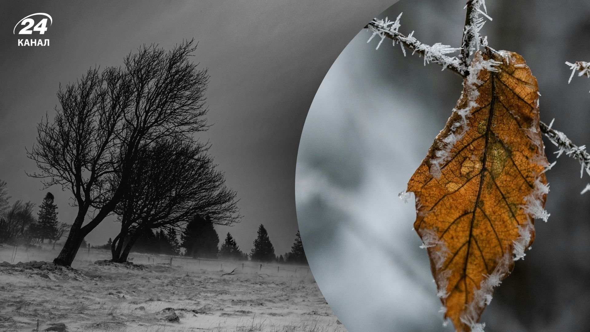 В Україні буде арктичний холод