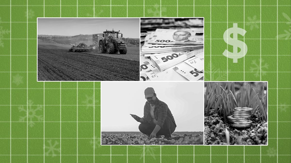 Что будет с ценами на землю в 2026 году Что будет с ценами на землю в 2026 году