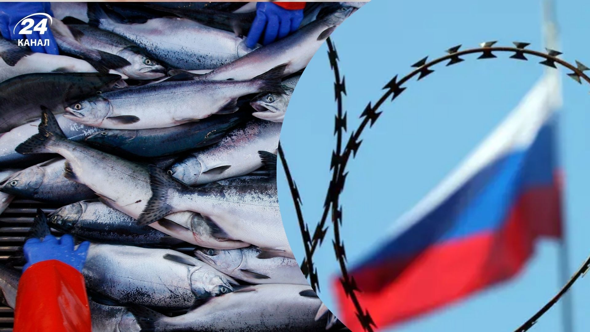 ЄС досі закуповує в Росії рибу