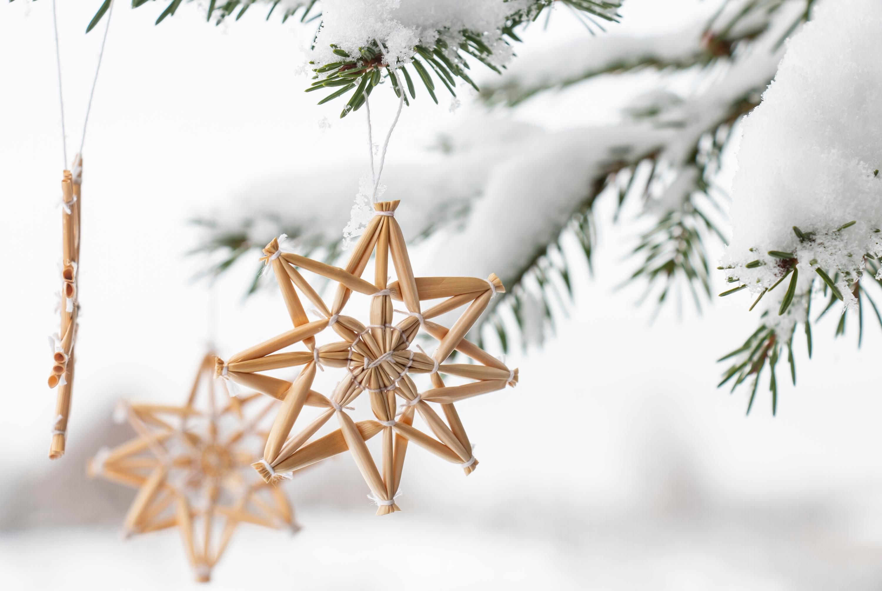 В Одесской области решили отменить праздничные мероприятия на Рождество - 24 Канал