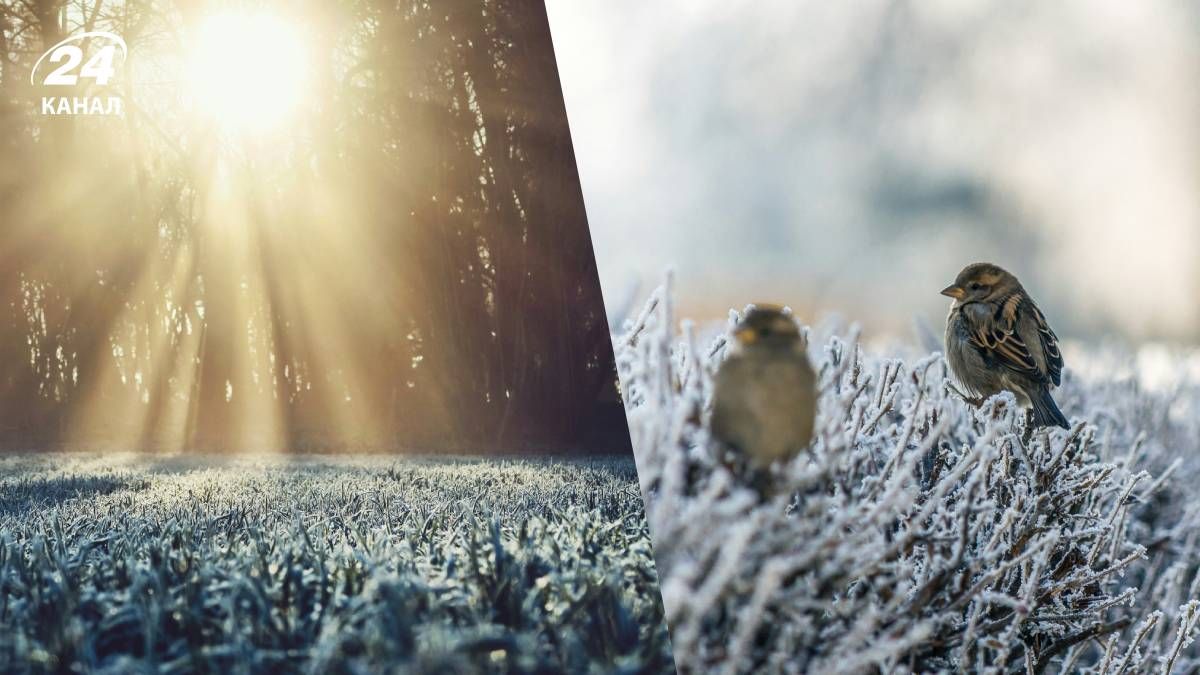 Прогноз погоди на 25 грудня 2025 року - 24 Канал Прогноз погоди на 25 грудня 2025 року - 24 Канал