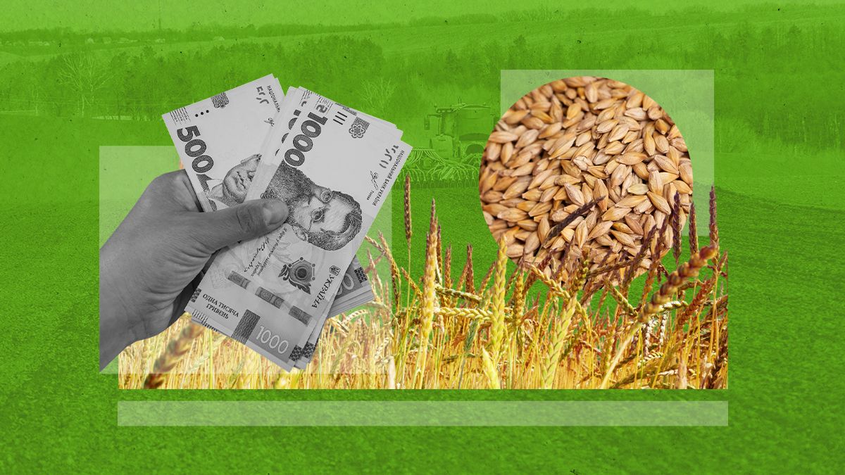 Огляд зернового ринку