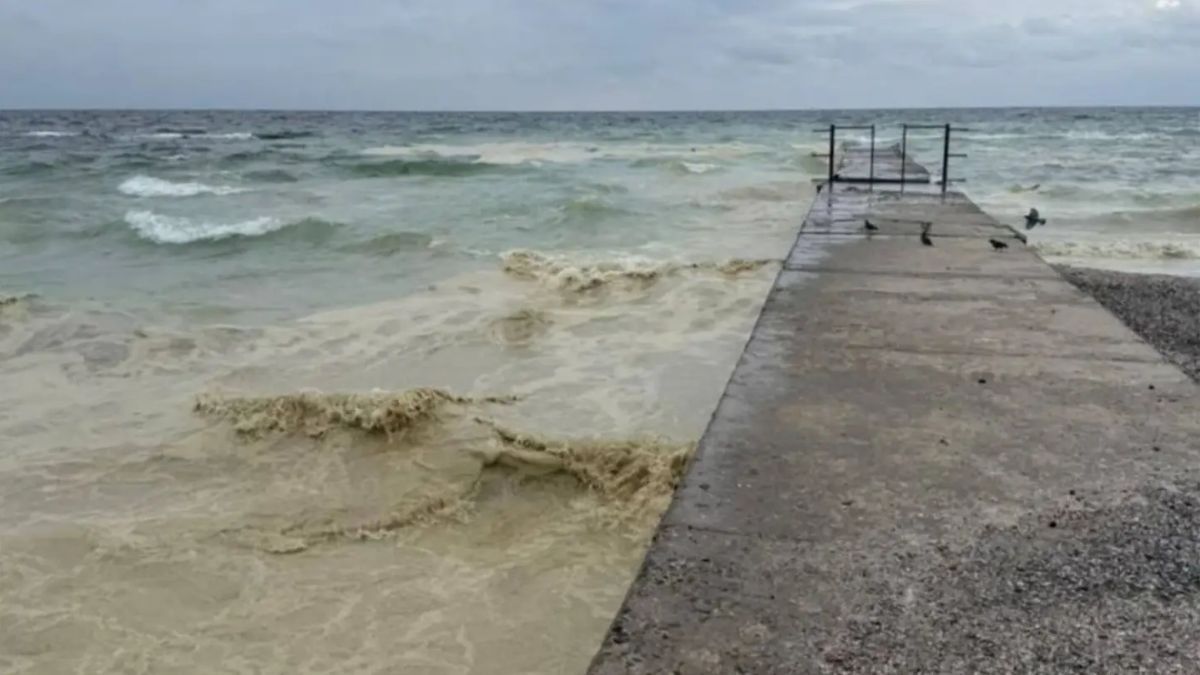 У Чорному морі після атаки Росії пляма олії розтягнулася вже на 55 кілометрів - 24 Канал У Чорному морі після атаки Росії пляма олії розтягнулася вже на 55 кілометрів - 24 Канал