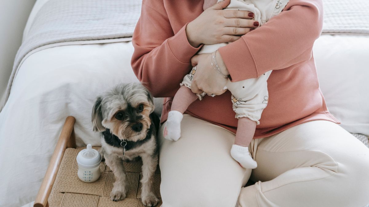 Чи декрет рахується до страхового стажу Чи декрет рахується до страхового стажу