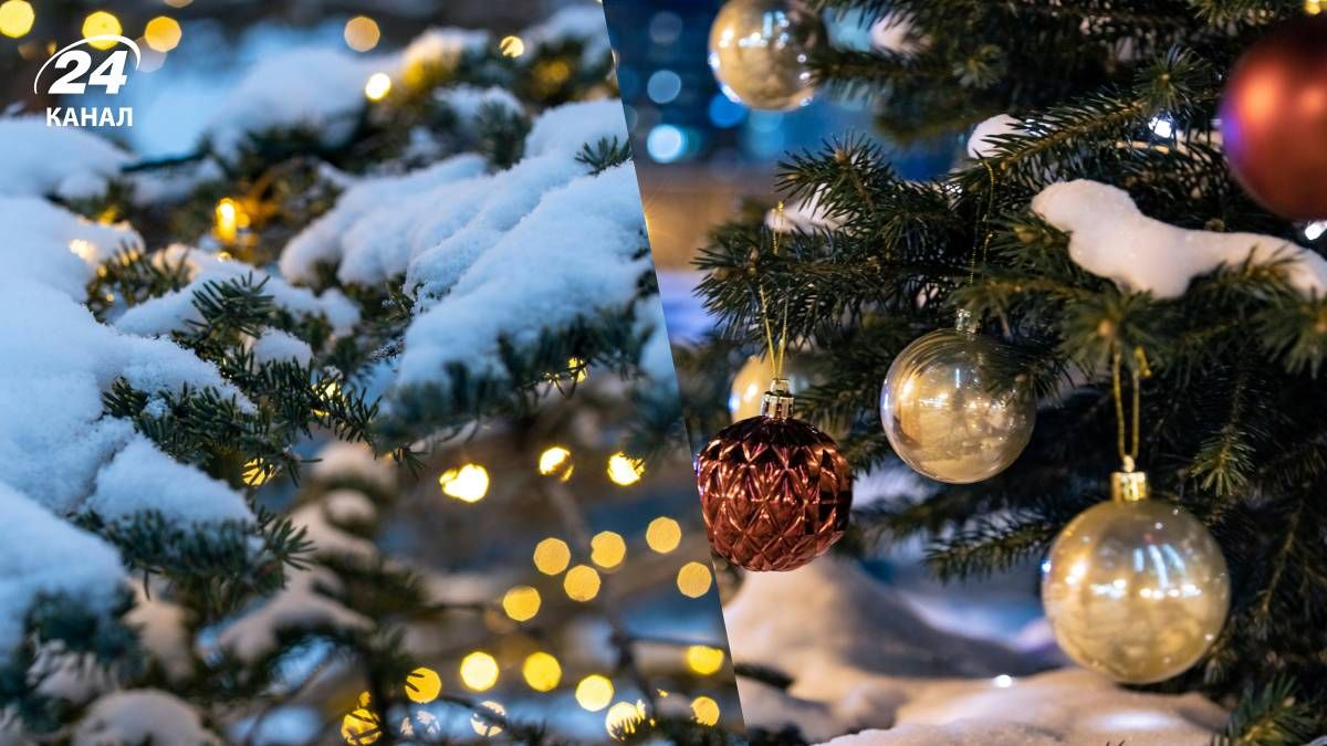 Прогноз погоди на Новий рік - 24 Канал Прогноз погоди на Новий рік - 24 Канал