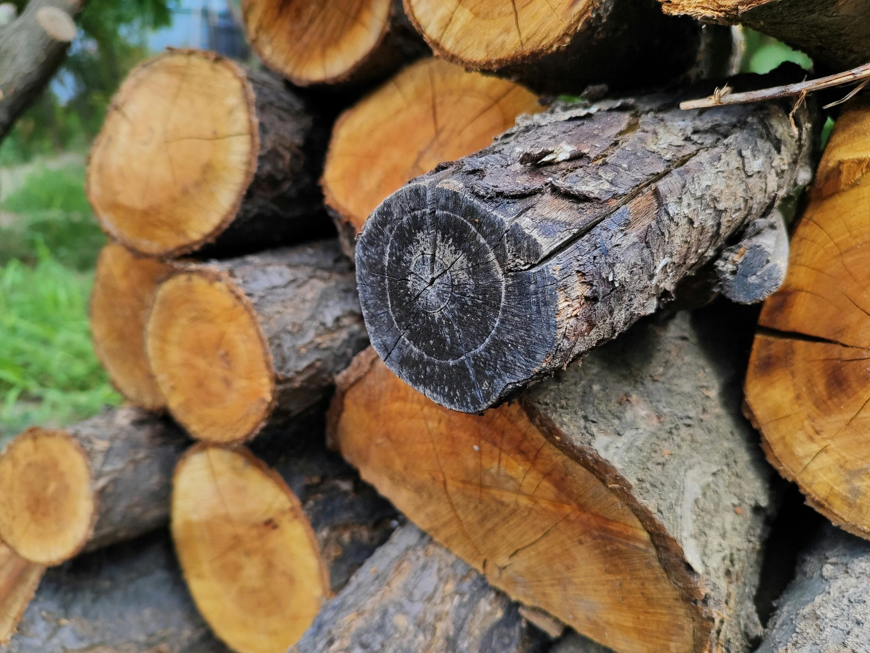 Як зберігати дрова взимку - що робити для просушки дров, чи зберігати дрова під накриттям Як зберігати дрова взимку - що робити для просушки дров, чи зберігати дрова під накриттям