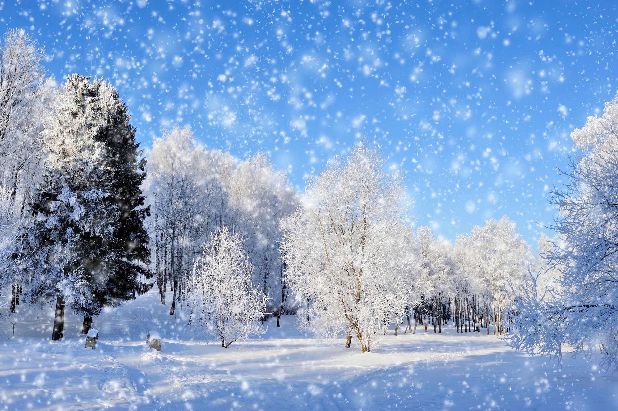 В Украине будет снежная погода в течение недели В Украине будет снежная погода в течение недели