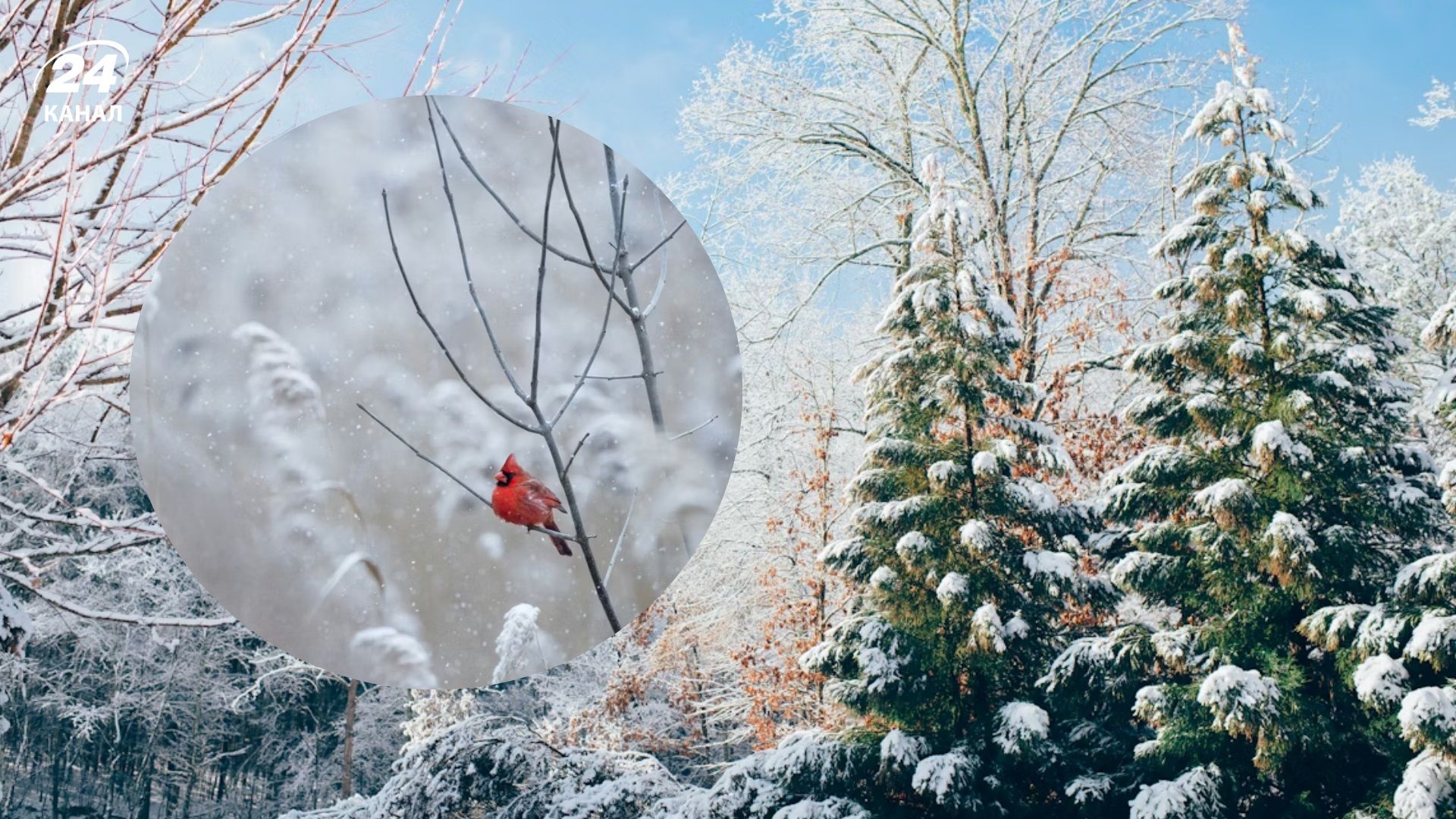 Погода на 31 грудня - 24 Канал