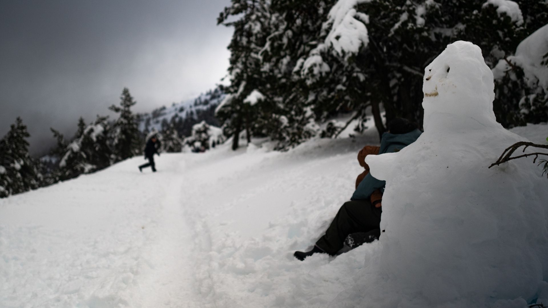 В Україні поки не прогнозують снігових штормів В Україні поки не прогнозують снігових штормів