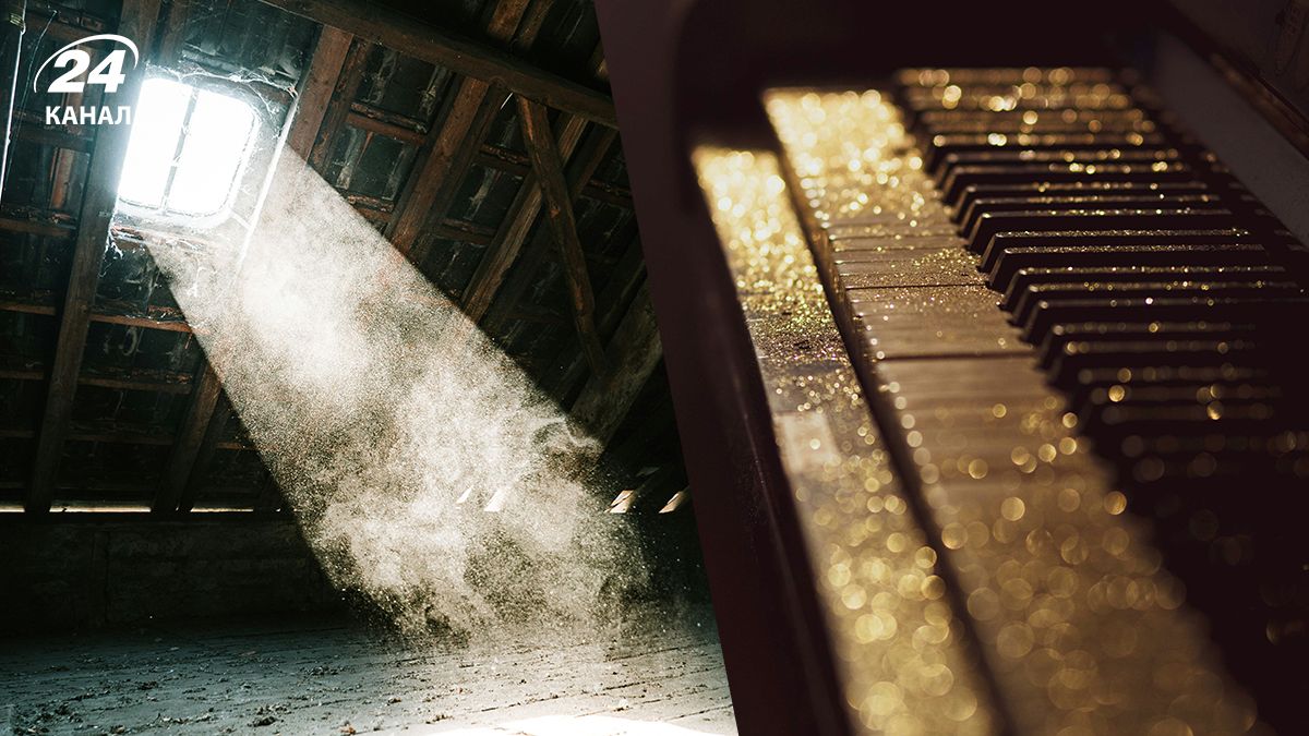 Пыль в доме: <откуда она берется и как с ней бороться эффективно