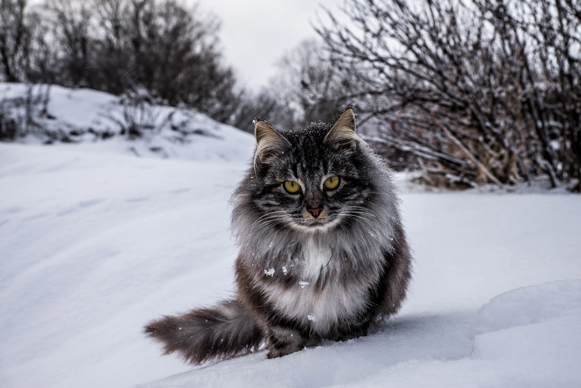 Погода на выходные в Украине Погода на выходные в Украине