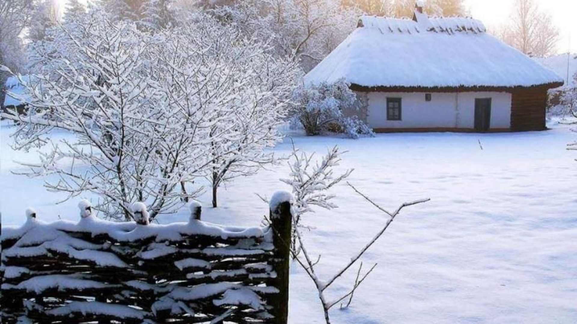 Українські області засипле снігом