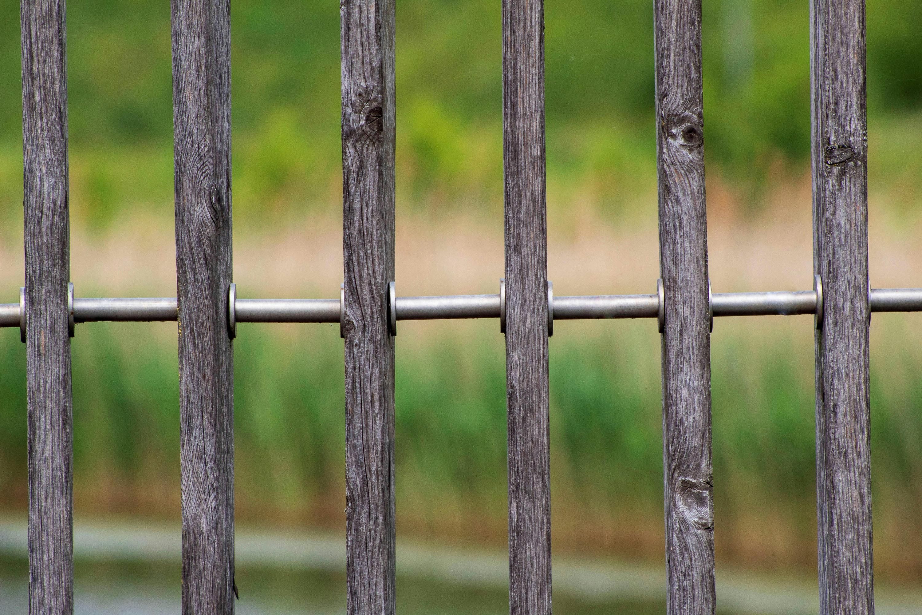 Чи можна посадити дерево біля паркану