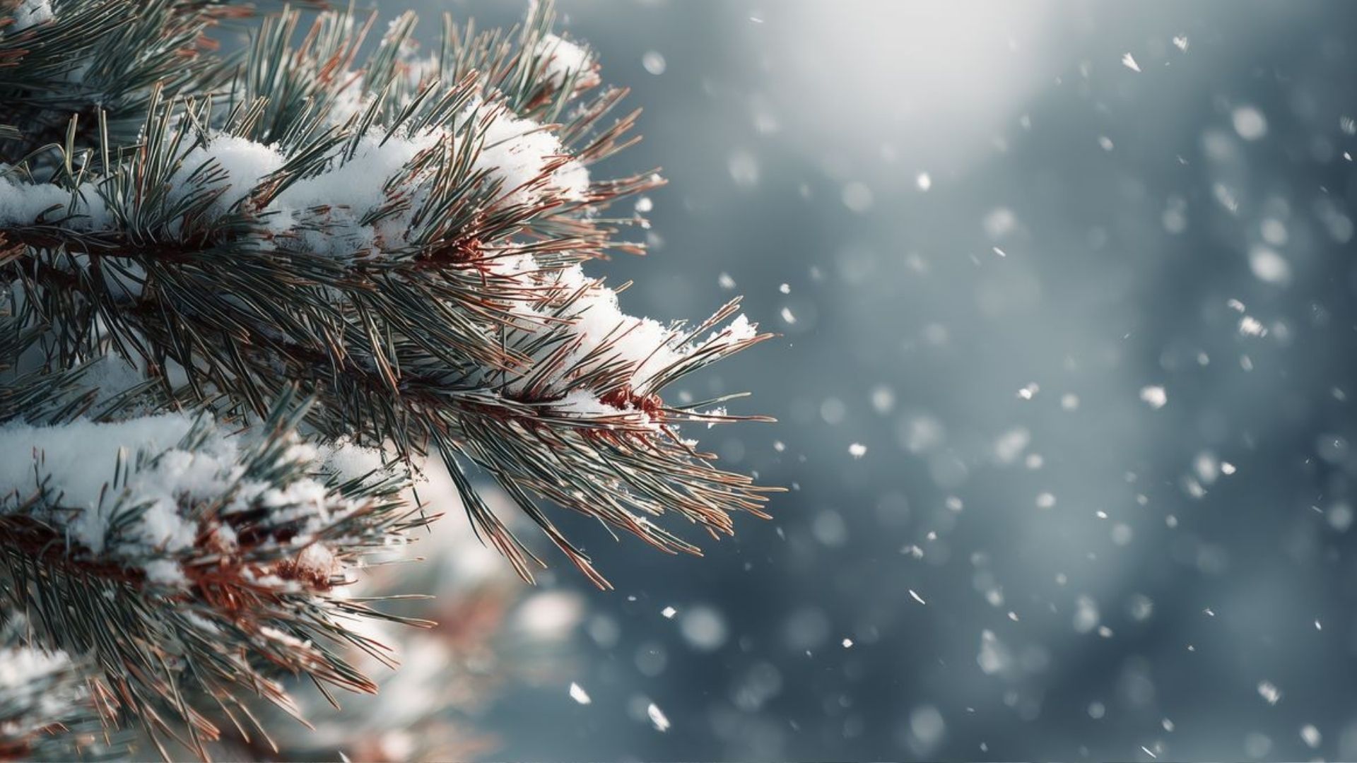 Погода в Україні 6 січня