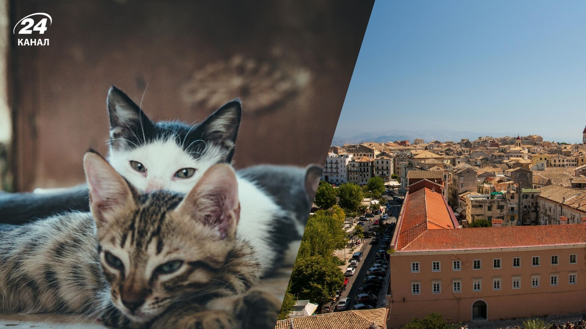 Бесплатное жилье в Греции с условием Бесплатное жилье в Греции с условием