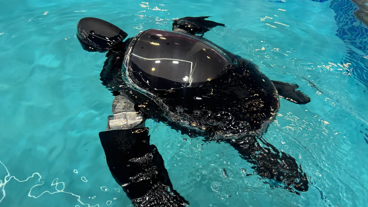 RoboTurtle от Beatbot – робот, который плавает как настоящая черепаха RoboTurtle от Beatbot – робот, который плавает как настоящая черепаха