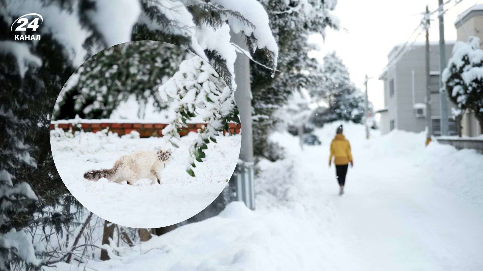 Погода на 8 января - 24 Канал Погода на 8 января - 24 Канал