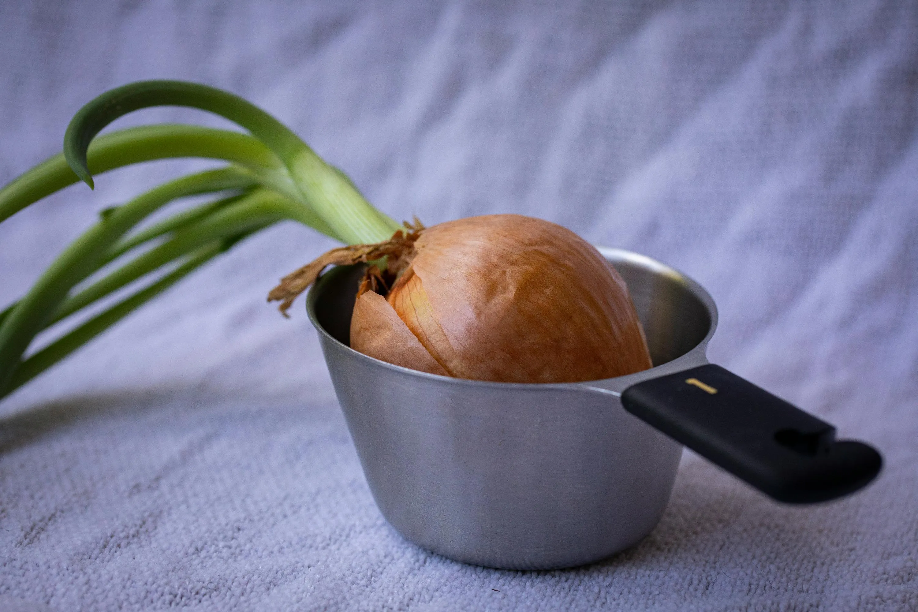 Как вырастить зеленый лук дома