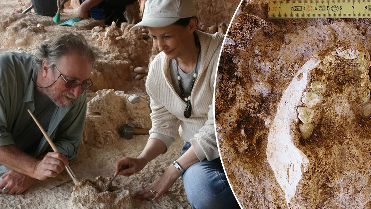 Окаменелости из Марокко возрастом 773 тысячи лет – предок современных людей Окаменелости из Марокко возрастом 773 тысячи лет – предок современных людей